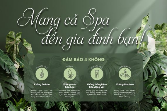 Alonzo Premium ra mắt bộ sản phẩm sản xuất từ thiên nhiên – Alonzo