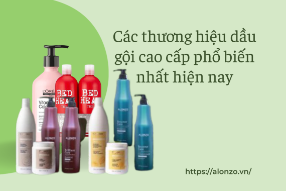 Các thương hiệu dầu gội cao cấp phổ biến nhất hiện nay